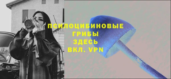 таблы Богородск