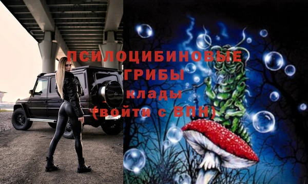 марки nbome Богданович