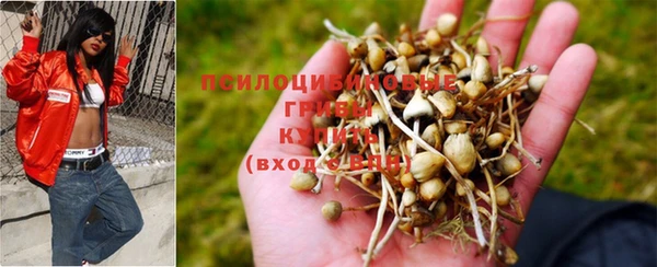 марки nbome Богданович