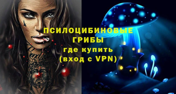 бутират Богородицк