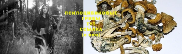 бутират Богородицк